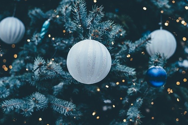 osvětlený vánoční stromek